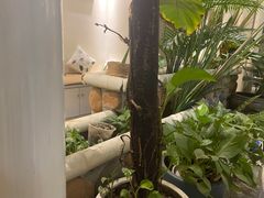 -北里·4k影院式足疗SPA馆(观音桥店)
