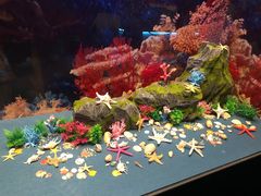 -上海中国航海博物馆