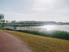 -春花秋色城市公园