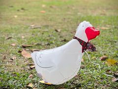 -深圳湾公园(南山区)