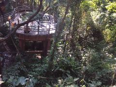 -天门沟九州驿站树上汤泉