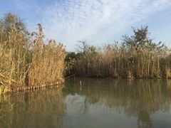 -梁鸿国家湿地公园