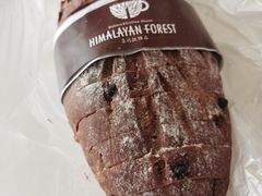 -喜马拉雅森HIMALAYAN FOREST