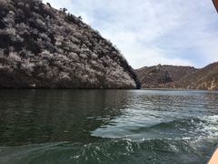 -辛玛王国游乐园