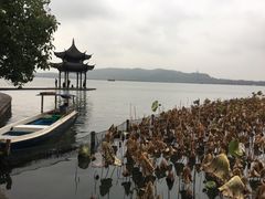 -1921餐厅.精选.浙味(一线西湖湖景店)