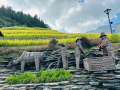 -紫鹊界梯田景区