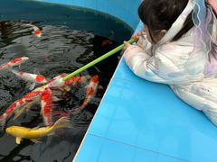 -兴芮温泉度假区