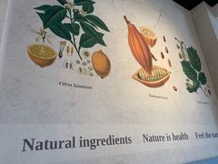 -Buonissimo(佛罗伦萨小镇店)