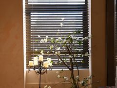 -HUATA 'Holiday Plan 花榻