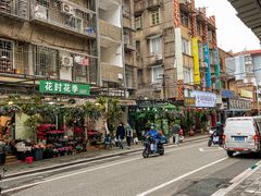 -溪岸路花鸟市场