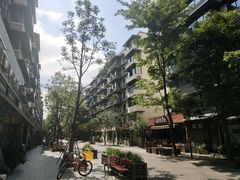 -泡桐树街