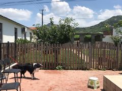 -趣玩宠物乐园寄养训犬训狗游泳池