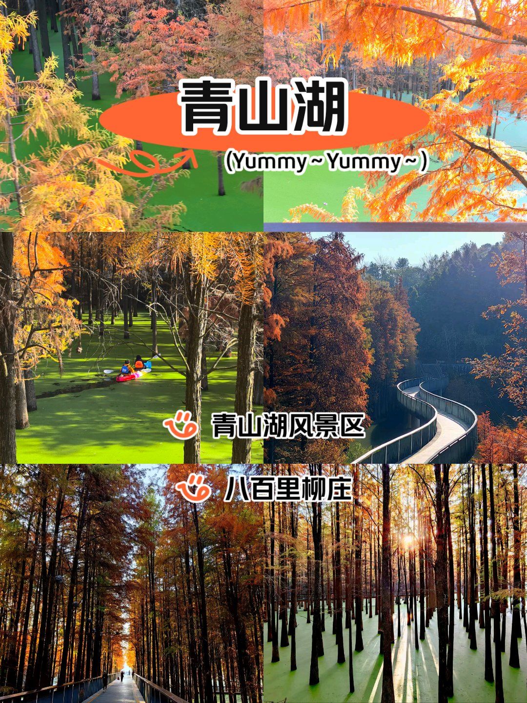青山湖水上森林公园