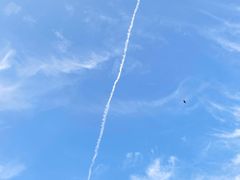 -251#coffee roasters(沿河东路店)