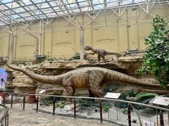 -国家自然博物馆