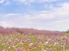 -上海滨江森林公园