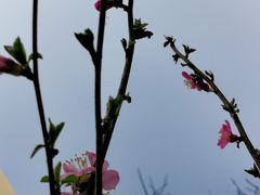 -迎泽公园
