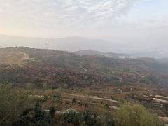 -定都阁