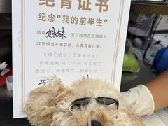 -芭比堂动物医院·心脏专科·夜诊·吉雅分院