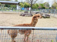 -上方山森林动物世界