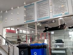 -北京东方万泉东风雪铁龙4S店(朝阳区店)