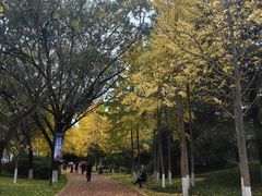 -城市运动公园(未央区)