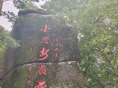 -汤旺河林海奇石景区