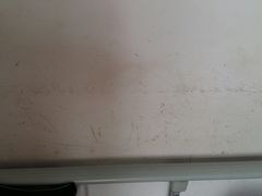 -天津医科大学第二医院