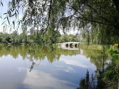 -洋湖国家湿地公园