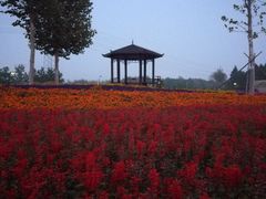 -羊亭河湿地公园