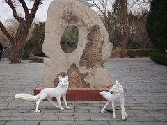 -淄博聊斋城景区