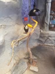 -Zoolung Zoolung动物主题公园(海信广场店)