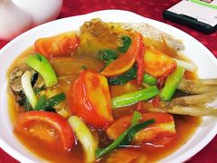 番茄炆红衫-蛇口康乐快餐鱼仔档(翠苑小区店)