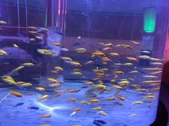 -邯郸海洋世界