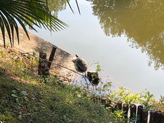 -南山风景名胜区