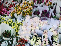 -循礼门鲜花花市(武汉循礼门店)