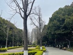 -苏州河梦清园环保主题公园