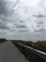 点击看大图 -水八仙生态园