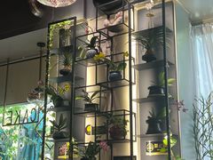 -街角 T·COFFEE 融合料理·BISTRO(车公庙店)