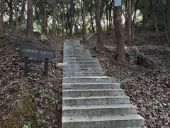 -汤山公园
