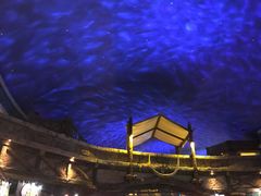 -波塞冬旅游度假区