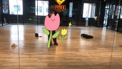 -G-STEPS舞蹈工作室