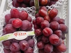 -马陆小张葡萄园农家乐