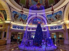 -重庆长寿碧桂园凤悦凤凰酒店