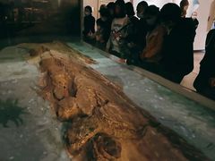 -白鹤梁水下博物馆