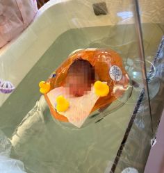 -臻康乃馨月子中心(集美店)