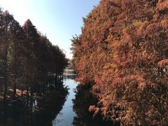 -厦门园林博览苑