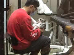 -PETKIT小佩宠物·低压洗护(国顺东路店)