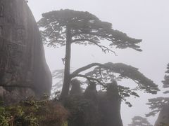 -黄山玉屏楼宾馆餐厅