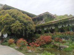 -中国茶叶博物馆(双峰馆区)